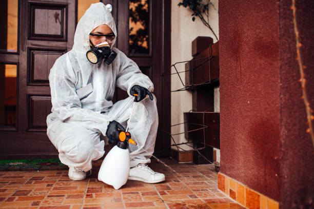 Reliable Mosquito Control contractor in Crandon Lakes, NJ by Show Me Pest Control