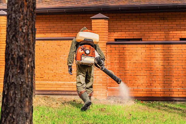 Top rated local Mosquito Control specialists in Crandon Lakes, NJ